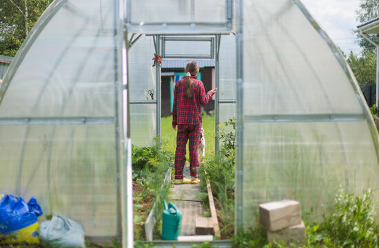 Girl Gardener Stands in Greenhouse Checking Plants and Growing Items