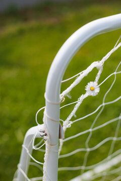 Soccer Goal Net With a Flower on Backyard