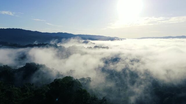 Bright morning sun shines over a vast layer of mist covering tropical rainforest hills. Tree crowns emerge through the fog, creating an ethereal aerial landscape of wilderness, climate and natural bea