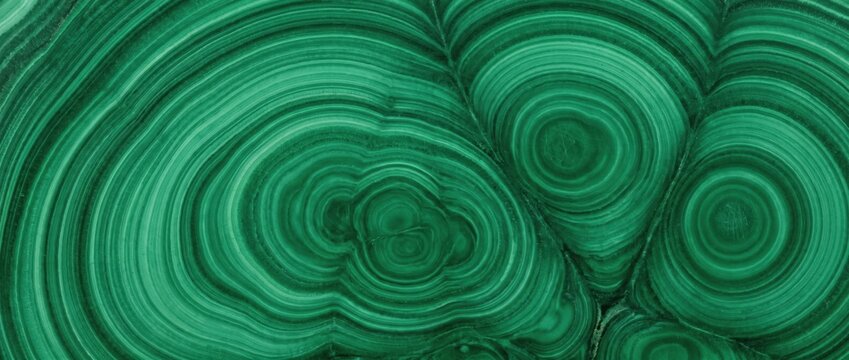 Macro texture of green banded malachite mineral. Polished gemstone surface with concentric natural rings