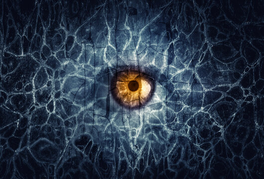 Mysterious eye from darkness.  Сoncept on psychological topic of addiction (drug addiction, alcoholism) and horror, Gothic, fear. Eye of a hacker, a gamer is surrounded by pattern of cobwebs, crack.