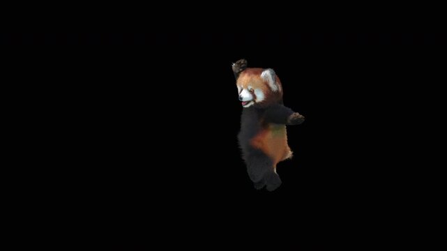 Cute 3D animated red panda dancing rumba with alpha channel. Cartoon animal character isolated for compositing, motion graphics, video editing, and digital content creation.