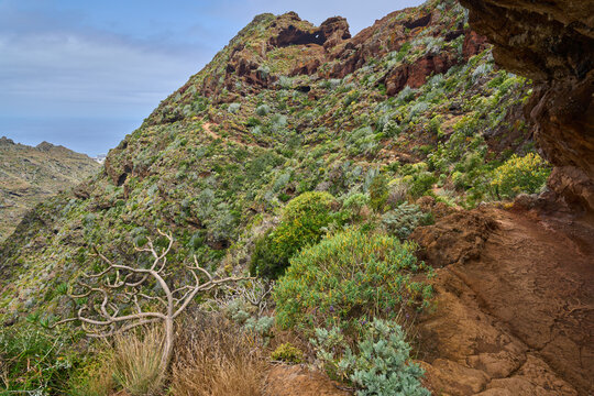 Trail below rock window ridge, Tenerife