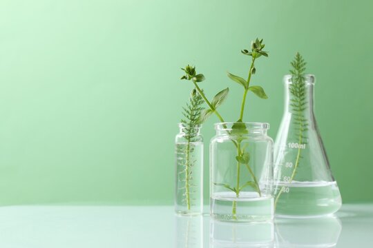 Biochemistry. Glassware with different liquids, green plants on light table in laboratory
