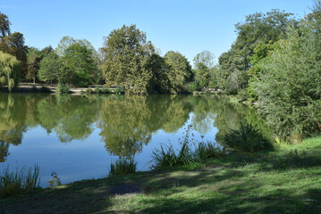 Fototapeta premium Rives boisées du lac Daumesnil à Paris. France 