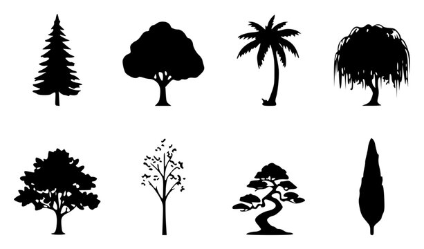 Collection of eight diverse tree silhouettes arranged in t VhPTUF TWwiyQ3BjAhXv1A set with simple line art design featuring line art, illustrations, graphic resources with vector and design elements
