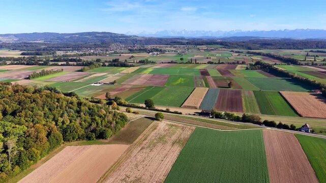 Weite Agrarlandschaft im Berner Seeland mit Blick auf die Schweizer Alpen
