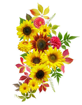 Autumn bouquet. Vibrant bouquet of mixed colorful sunflowers and dahlia flowers isolated on transparent background, top view
