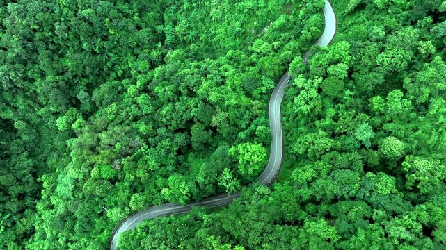 Forest landscape with transportation infrastructure balancing economic growth and environmental conservation, supporting Green Finance, Net Zero, Carbon Neutrality, Climate Risk Assessment