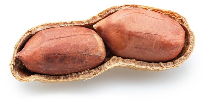 Open peanut shell with red kernels inside isolated on a white background. Clipping Path. Maximum sharpness with stacking image.