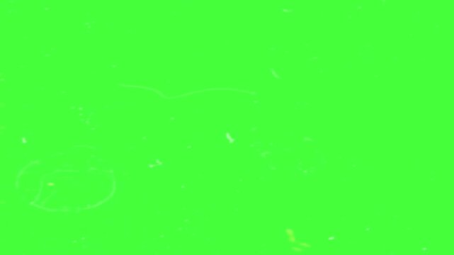 Green screen background displays a vibrant chroma key surface that is perfectly uniform and smooth to allow for seamless digital compositing of various visual elements in professional video projects.