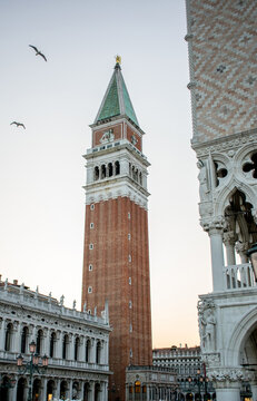 St Mark's Campanile bell tower with seagulls flying beside the Doge's Palace in Venice