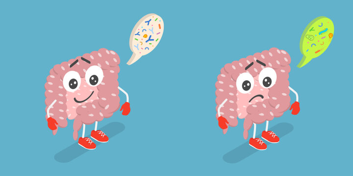 3D Isometric Flat Vector Illustration of Digestive System Character , The Microorganisms Living In Your Gut