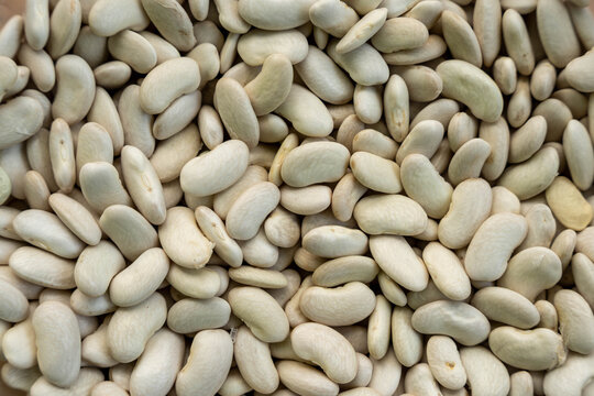 Dried butter beans fill frame with natural pattern of organic legumes. High protein white seed pulses show clean pale surfaces suitable for culinary concepts and healthy vegetarian nutrition.
