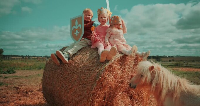 Boy and two little girls dressed as a knight and princesses sit together on a large hay bale at a farm. Happy children enjoy imaginative role play and a creative outdoor childhood. High quality 4k