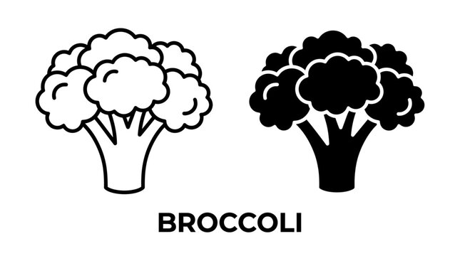 Broccoli vegetable icon featuring a detailed fresh floret and stem in outline and solid vector style broccoli vegetable nutrition ingredient illustration vitamins vegetarian agriculture