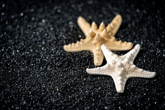 Symbolic tropical black sandy beach background, sea shells and starfish and empty space for product advertisement Montage of summer relaxation background