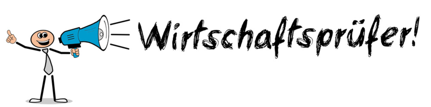 Wirtschaftsprüfer	
