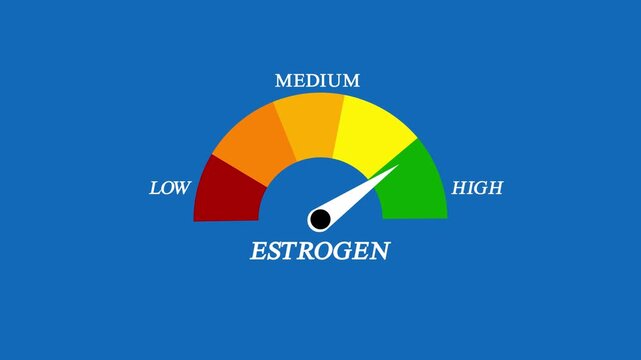 Animated estrogen level meter decreasing from normal to low level, for concepts related to low estrogen, hormone imbalance .Medical Gauge Meter Infographic Low High.