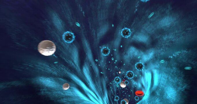CG flythrough of blood vessels with red blood cells in blue