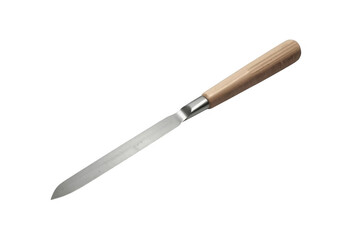 Fototapeta premium Kitchen utility knife with wooden handle and metal blade