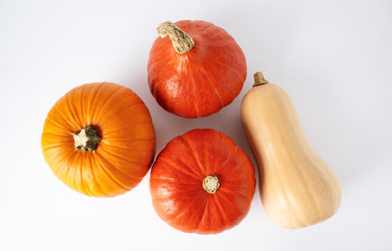 Variety of pumpkins top view on white background. Butternut, red kuri and orange squash for autumn harvest, Halloween and Thanksgiving designs.