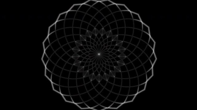 Glowing white geometric rosette expands outward from a bright central point, forming layered radial loops and petal-like lattice lines against a deep black background