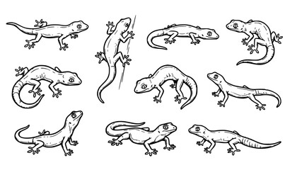 Obraz premium Black and white hand drawn gecko illustrations set with unique reptile poses