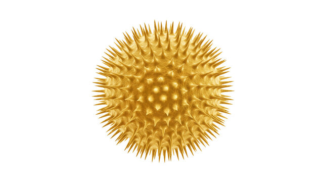 Golden pollen grain particle, microscopic yellow allergen sphere, spiky virus cell model for medical science research isolated PNG with Transparent Background