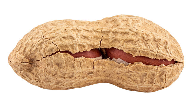 Cracked peanut in shell showing kernels, textured brown groundnut pod, healthy organic food ingredient for snack packaging isolated PNG with Transparent Background