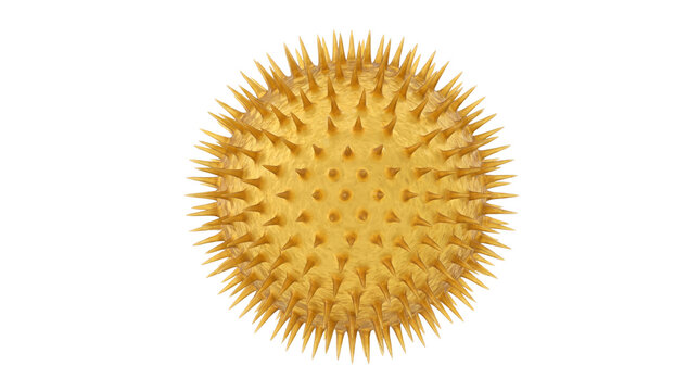 Microscopic golden pollen grain particle, yellow virus cell structure, spiky bio organism model for medical science imagery isolated PNG with Transparent Background