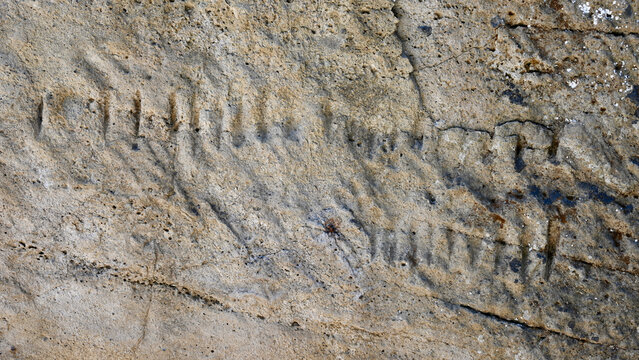 Ancient Lunar Calendar Carved into Stone Wall near the Cave of the Sibyl