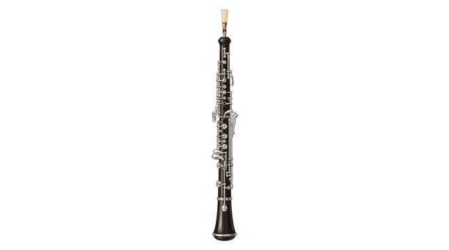 Vector illustration of oboe concept vector illustration for creative projects and modern business isolated background element