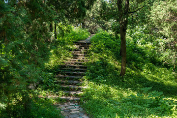 Obraz premium Historic Stone Trail Through Beijing Palace Forest Gardens