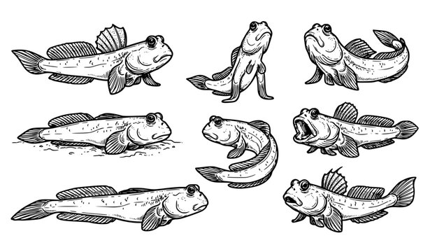 Hand drawn mudskipper fish black outline sketch vector set