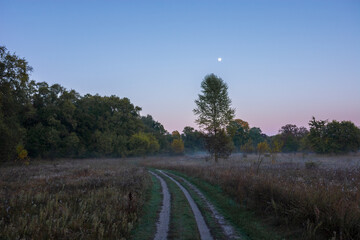 A peaceful dirt road winds through a foggy autumn field toward distant trees under a soft, twilight sky with Venus © Александр Арендарь