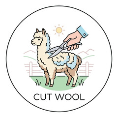 Obraz premium Shearing Alpaca for Wool Production