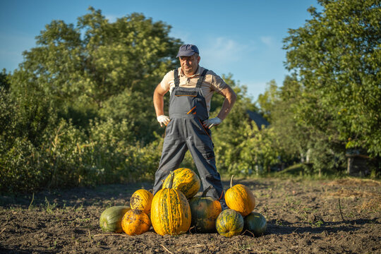 With a satisfied smile, a farmer stands tall amidst a colorful heap of pumpkins under the clear blue sky. The warm autumn sun bathes the scene, highlighting his hard work in the field