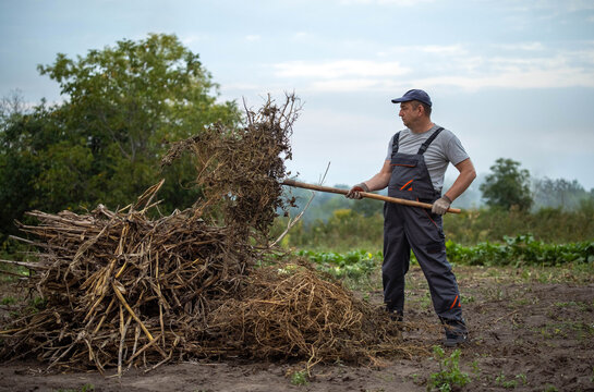 Man in overalls works compost heap with pitchfork on rural farmland. He stands in muddy ground beside dried stalks and straw, showing focused effort during outdoor farm maintenance.