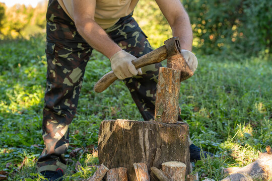 Gloved man sets rusty axe against upright log on chopping stump in woodland. Woodcutter grips weathered handle above cut rounds, preparing firewood outdoors in warm sunlight amid leafy ground cover.