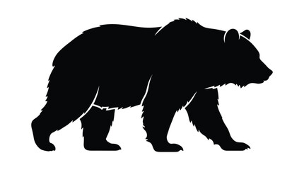 Obraz premium Black bear silhouette stands on a white background a detailed animal form