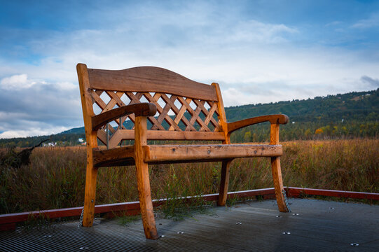 An empty wooden bench in autumn rain at Beluga Wetlands outlook deck in Homer, Alaska