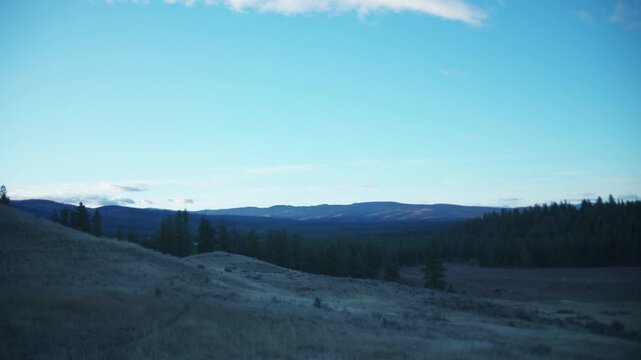 Forested Montana hills under a clear blue sky