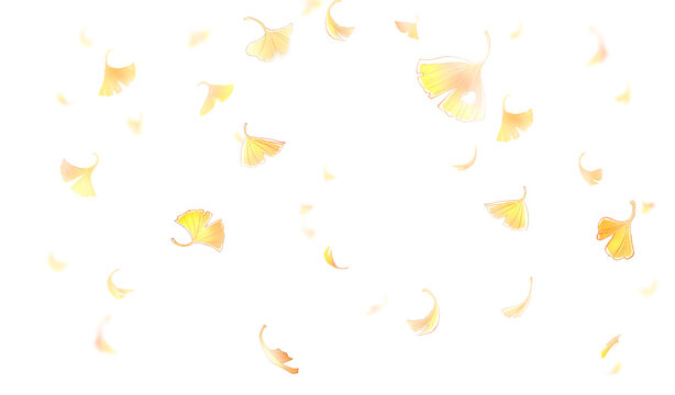 舞い散るイチョウ　横長