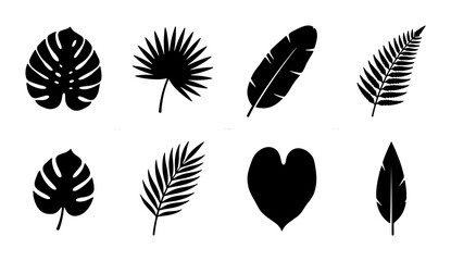 Fototapeta premium Tropical leaf silhouettes set with monstera, palm, fern and feather shapes for nature design