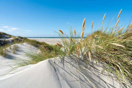 Weite D&uuml;nenlandschaft an der Nordsee
