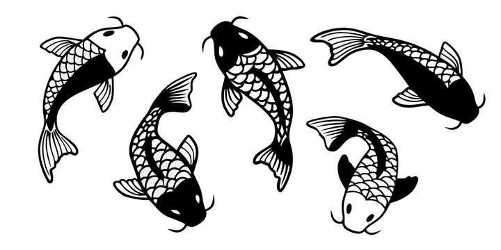 Set of five koi carp fish swimming in decorative black and white ink style with sea life white background pattern elements nature art fish icon swimming illustration ornamental