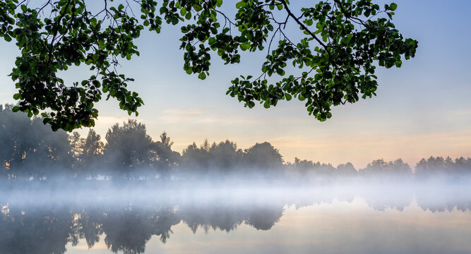 Forest lake covered in morning fog, framed by overhanging leaves