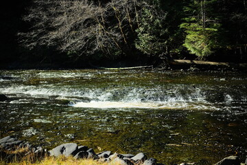 Obraz premium Small cascade on a shallow river bordered by trees