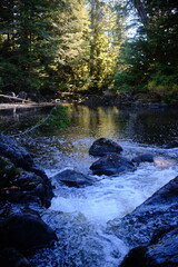 Obraz premium Sunlit forest river flowing over rocks toward calm water